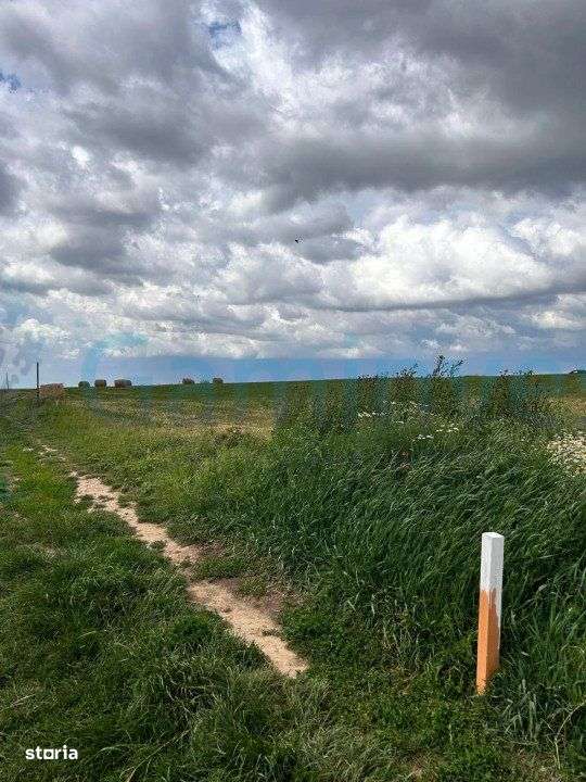 Gaminvest Teren intravilan la intrarea in Cordau, Bihor V3665 - Imagine principală: 4/4