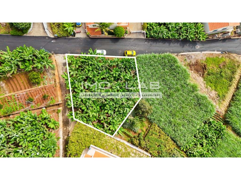 Terreno com 430m2 - Ponta do Sol-5