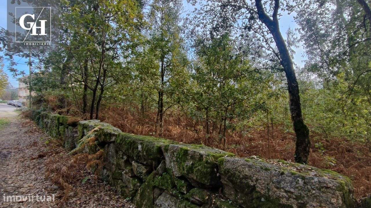 Terreno em Antas – 20.306 m² | Localização Estratégica!-6