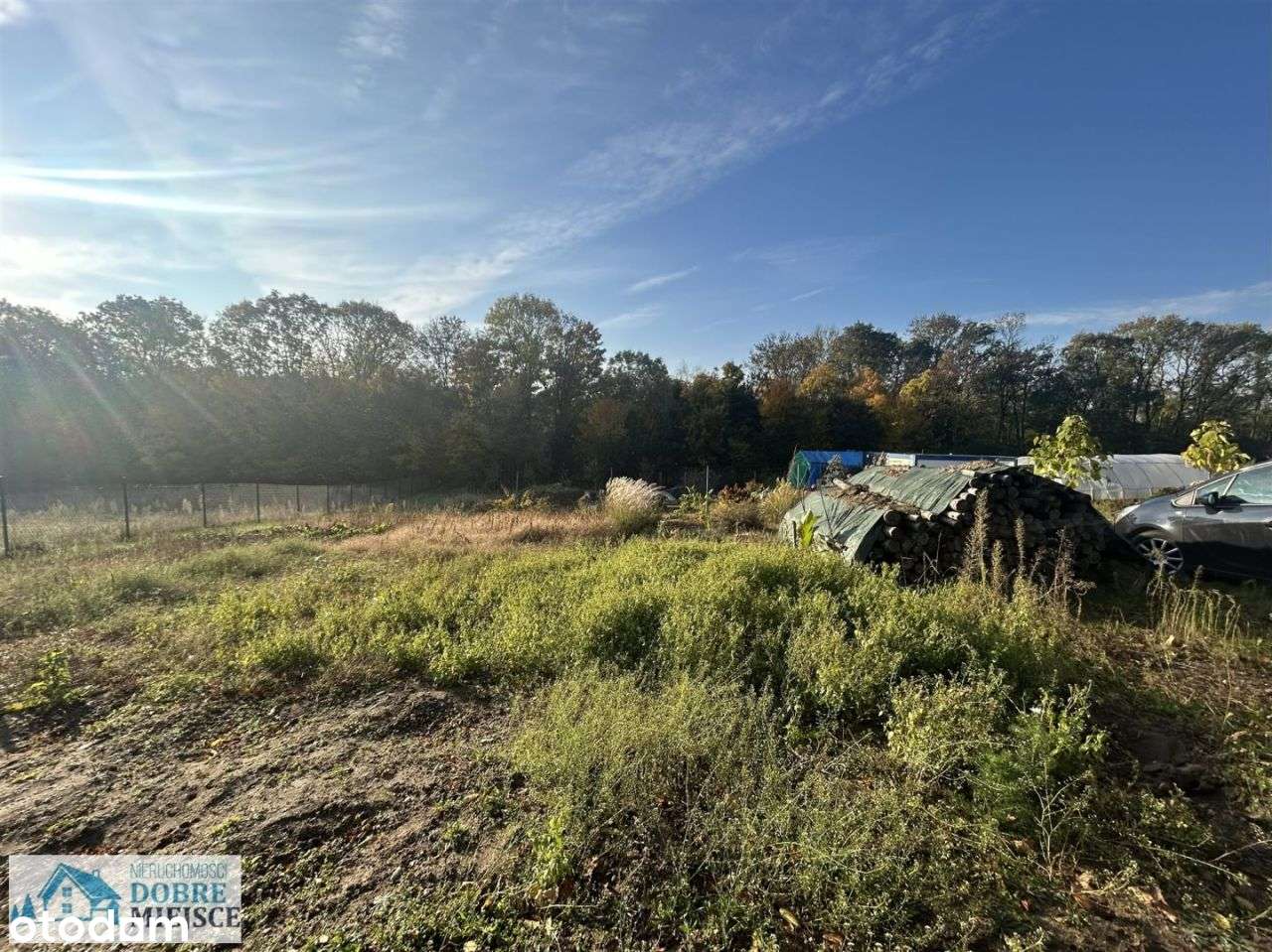 Działka Budowlana 3000 m² Ze Ścianą Lasu - Pełny obrazek: 4/8