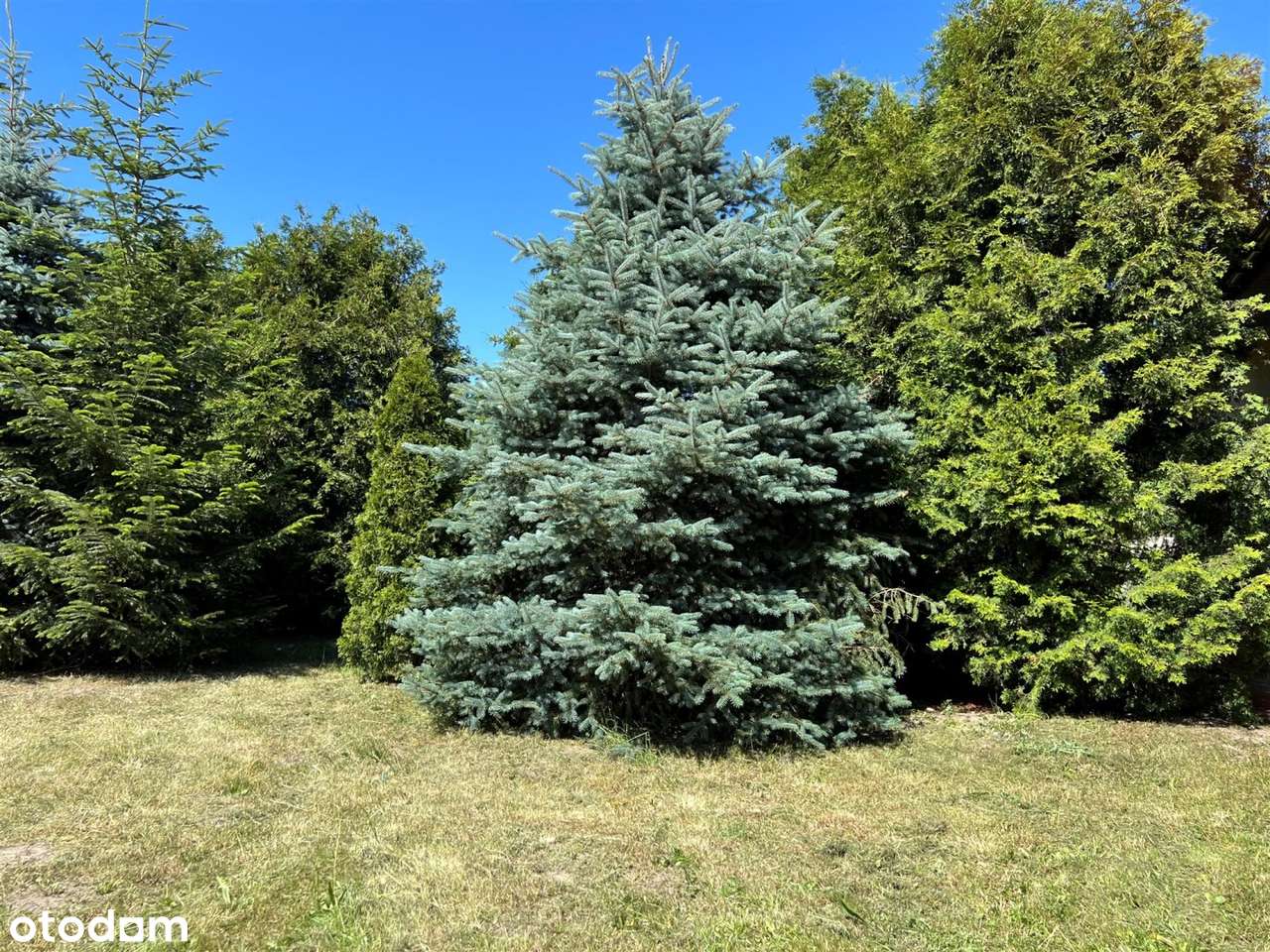 Dom na sprzedaż, Białobrzegi (gw), 3 pokoje - Pełny obrazek: 4/17