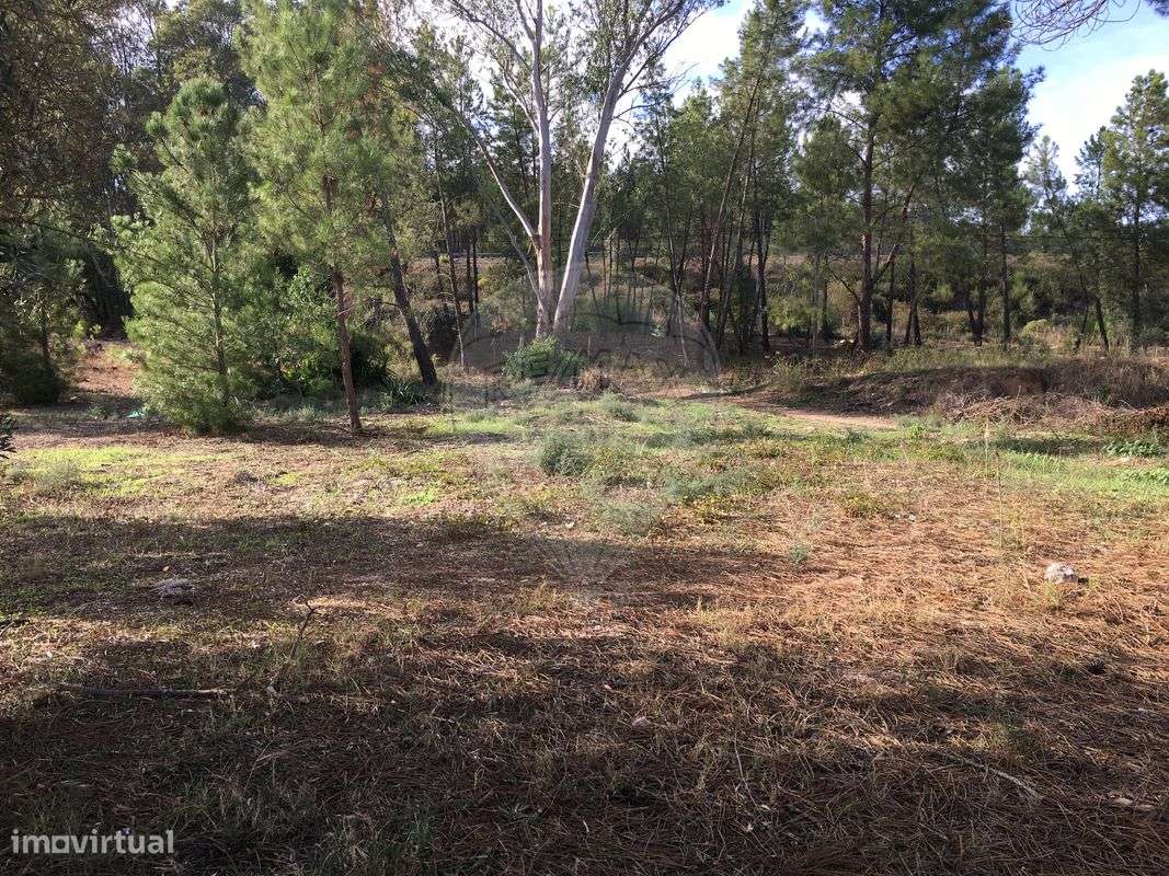 Terreno  para venda - Grande imagem: 4/6