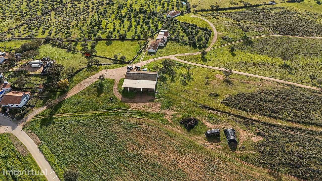 Quinta  para venda-6