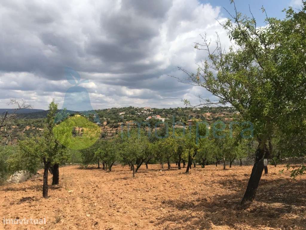 TERRENO RÚSTICO 1800m2 VISTA FANTÁSTICA BOLIQUEIME - Grande imagem: 5/10