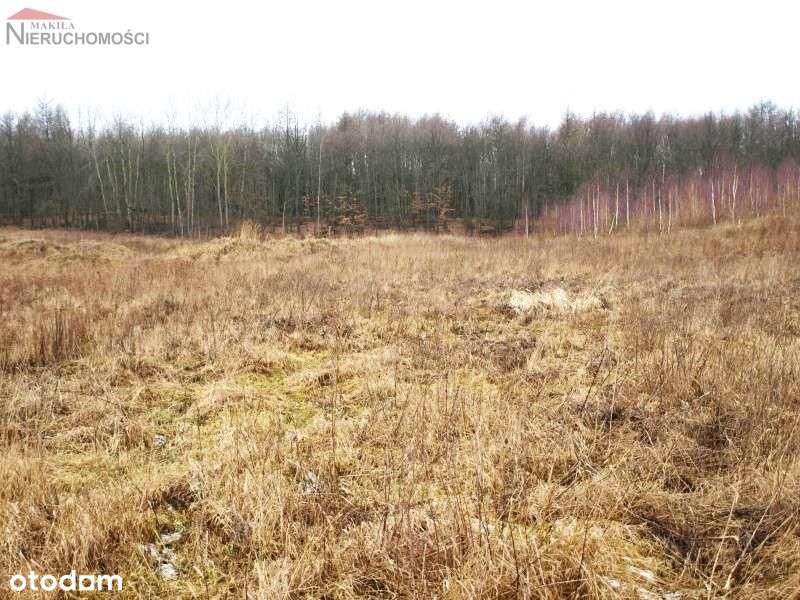 Działka - Świetlikowo-4