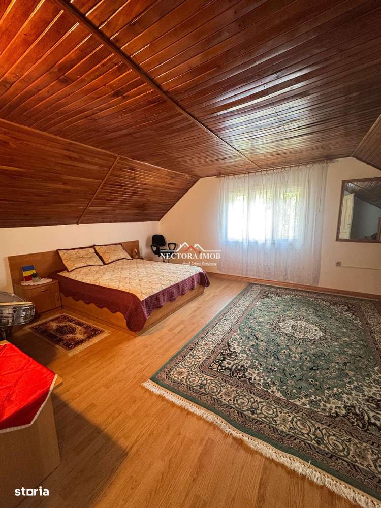 NECTORA IMOB-Casa cu etaj, mobilata, utilata, Episcopia, cu livada-11