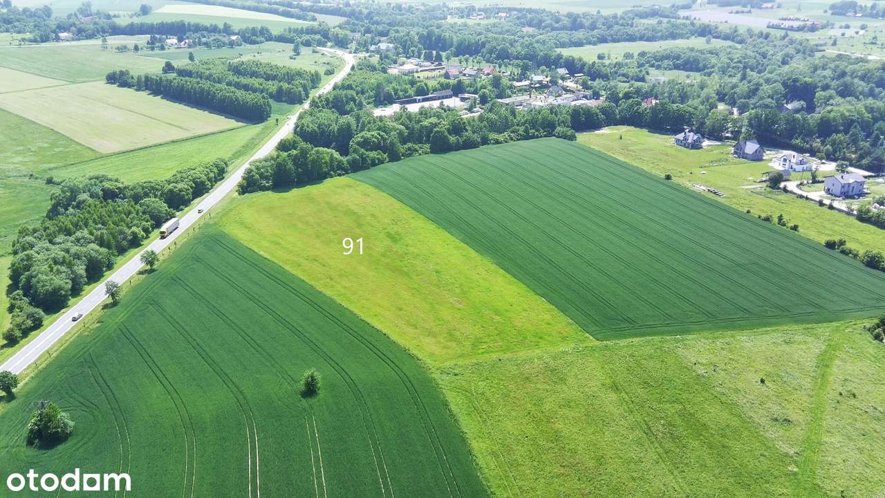 Na Sprzedaż Grunt Pod Produkcję i Usługi przy DK 33-19