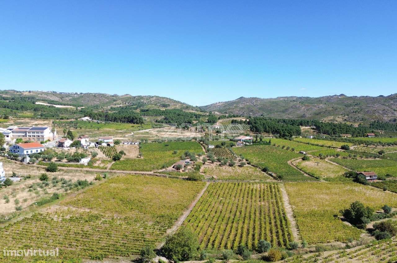 Moradia T6 em Alijó-23