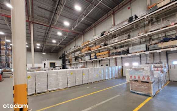 Magazyn podnajem, Błonie Pass, Warszawa, MROŹNIA - Pełny obrazek: 4/8