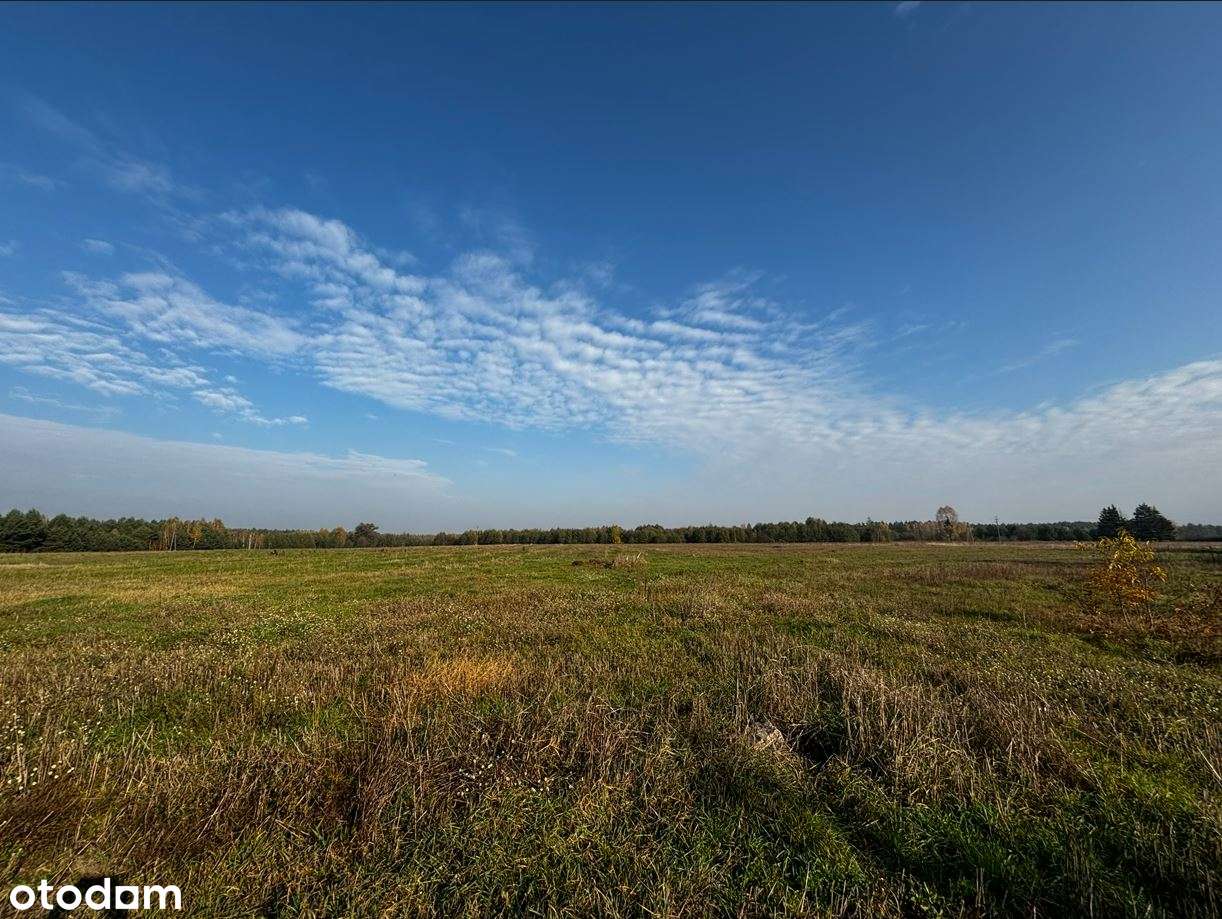 Na sprzedaż gospodarstwo rolne 7,68 ha w Błędnicy-6
