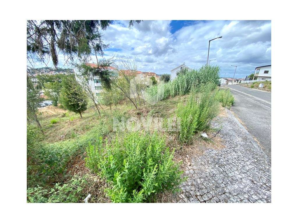 Terreno no centro de Pombal - Grande imagem: 5/7
