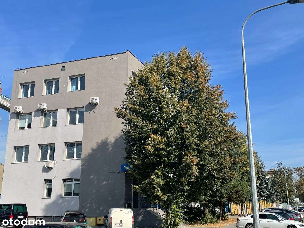 Biura, pomieszczenia 12-250m2, Białe Błota - Pełny obrazek: 2/12