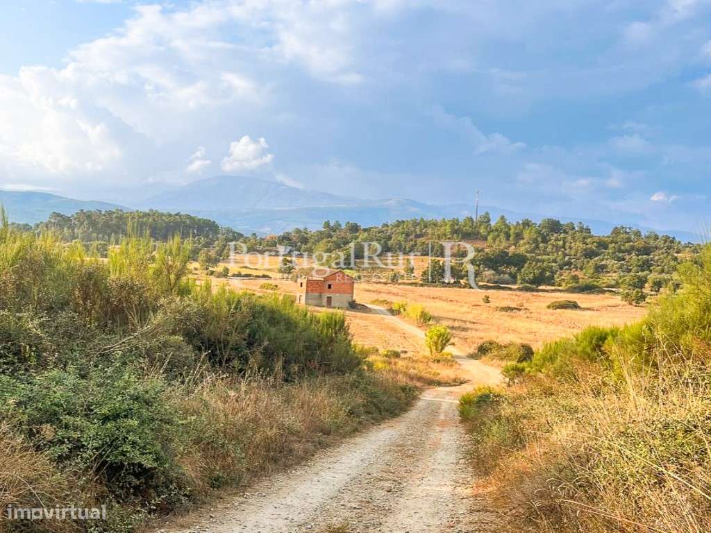 Quinta de regadio com 46.000 m2, em Alcaria - Fundão - Grande imagem: 4/28