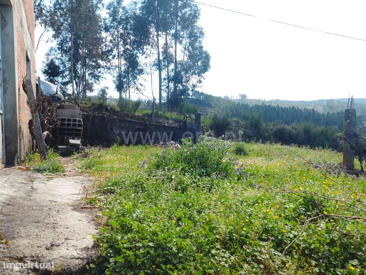 Quinta T3 / Fundão, Bogas de Baixo - Grande imagem: 2/20