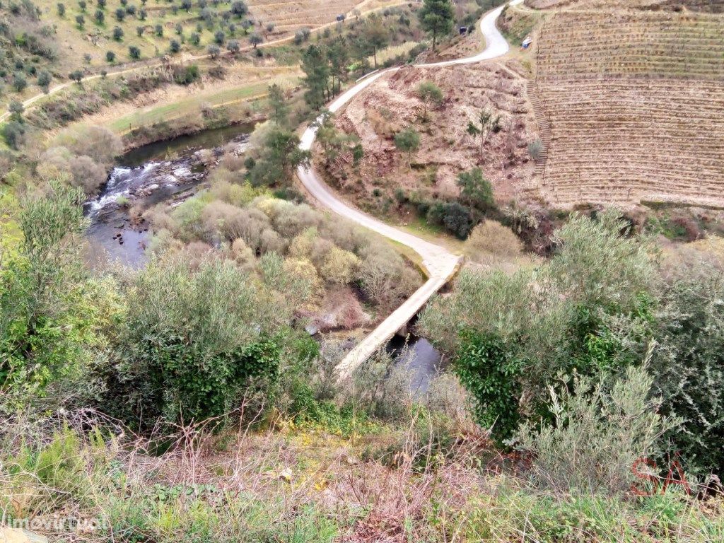 Quinta com 7ha situada no Douro Vinhateiro, com projeto d...