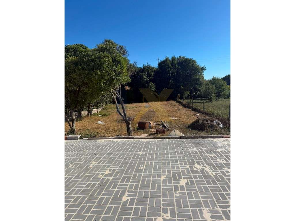 Moradia T3+2 Térrea em Esgueira à Venda!!-21