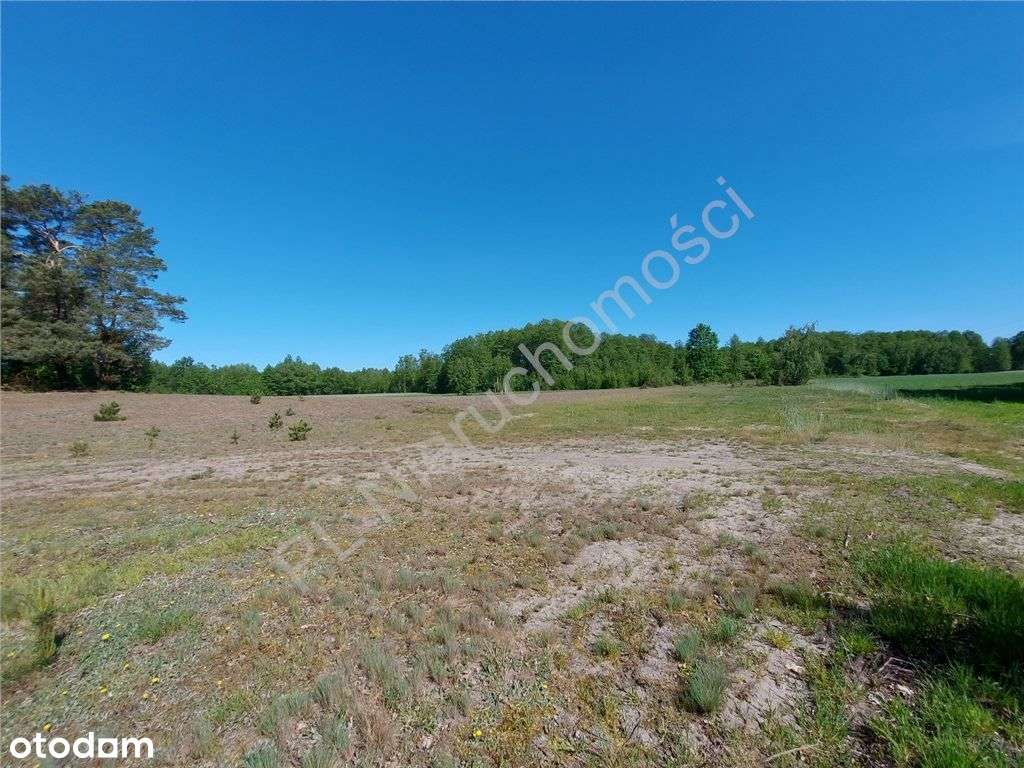 Dogodne Wymiary, Media, Magiczny Widok.-0