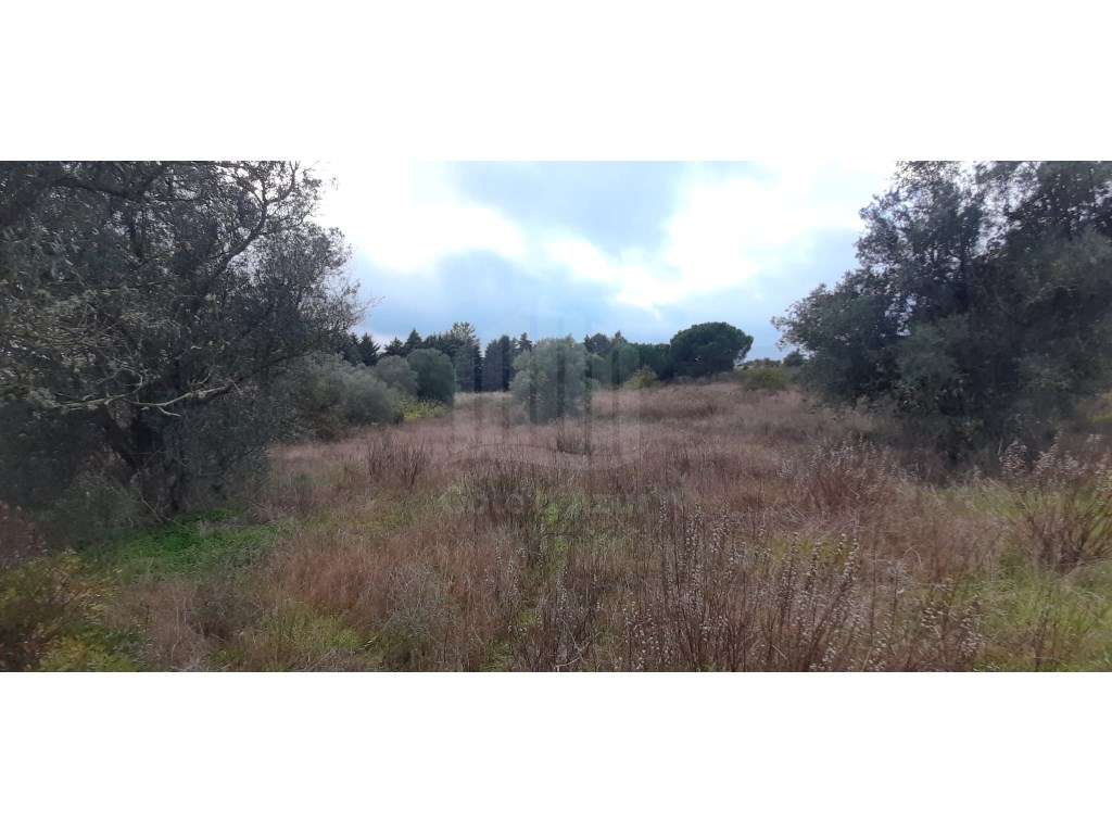 Terreno com 15.000 m² em Plena Natureza na Região de Palmela-17