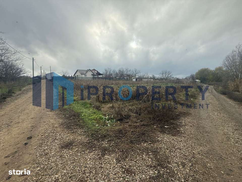 Teren 2.000 Mp | Ileana - Calarasi | Dubla Deschidere Stradala - Imagine principală: 1/5