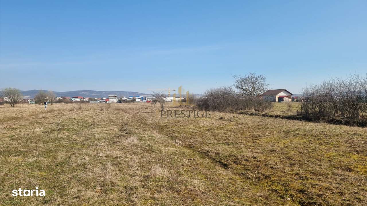 FĂRĂ COMISION | TEREN 1000 MP ȘELIMBĂR ZONA TROIȚĂ | INVESTIȚIE-3