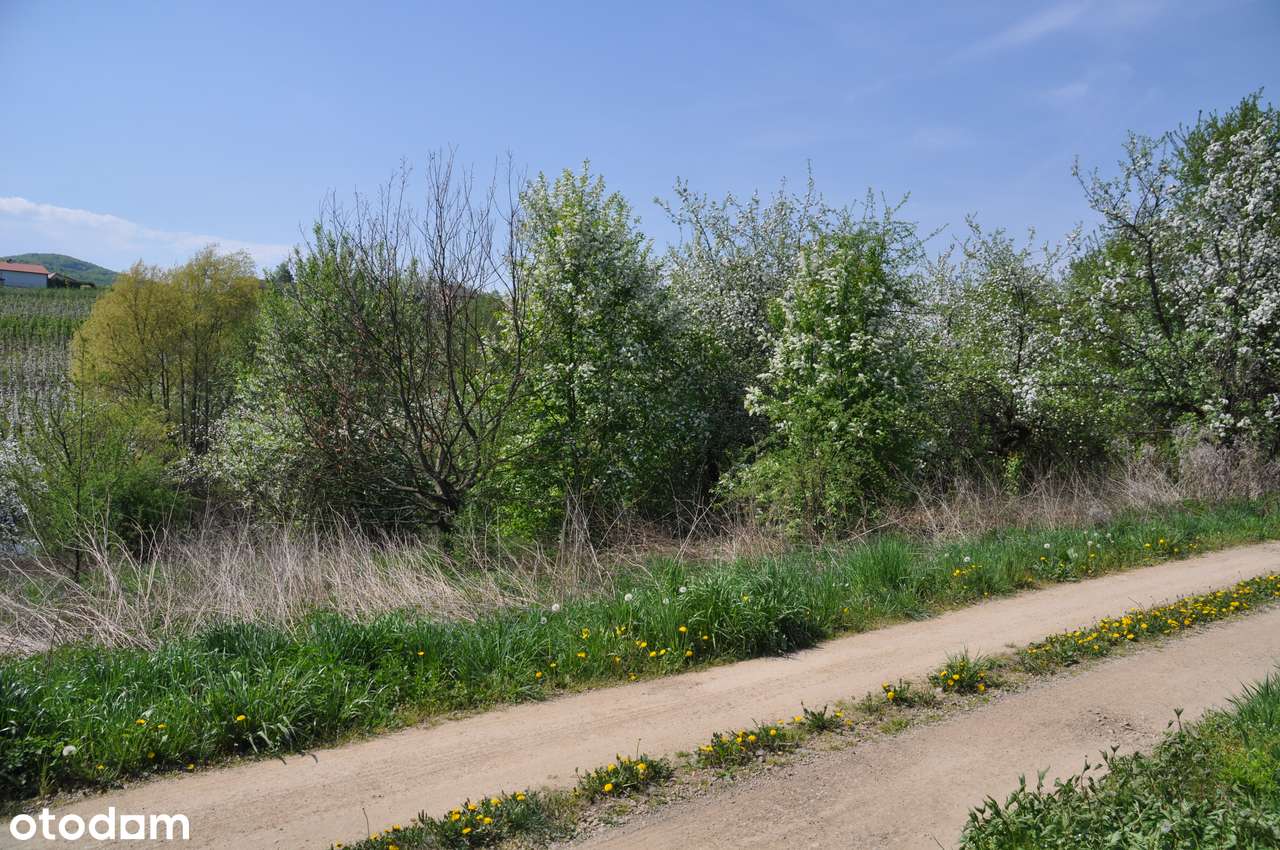 Komorniki - działka pod zabudowę-7