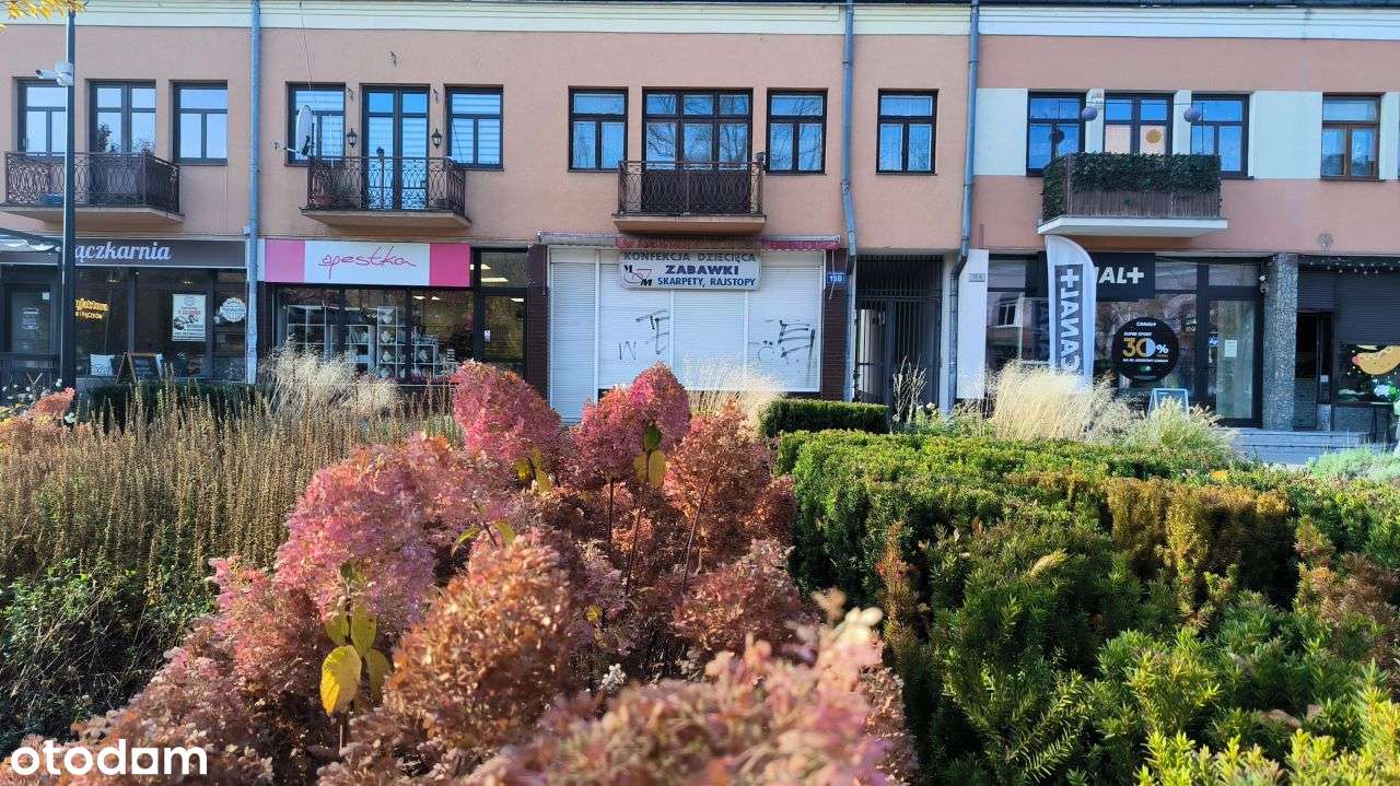 Dobra inwestycja w sercu miasta . - Pełny obrazek: 5/11