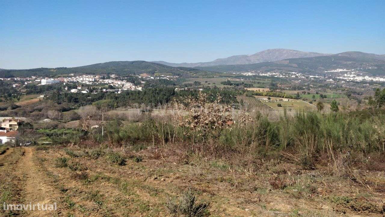 Terreno Rústico / Fundão, Alcaria - Grande imagem: 2/3