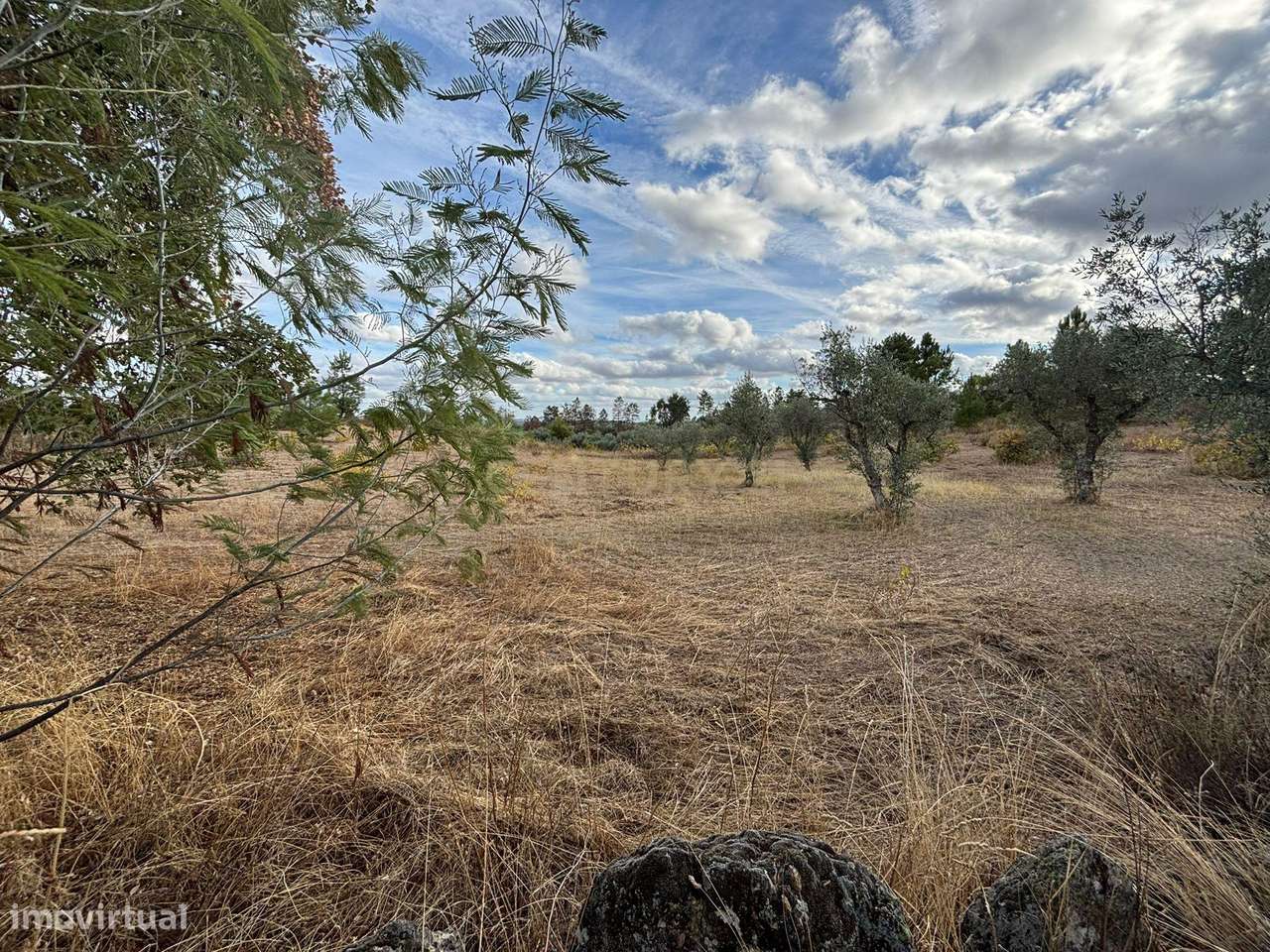 Terreno Rústico em Freixial e Juncal do Campo, Castelo Branco - Grande imagem: 3/12