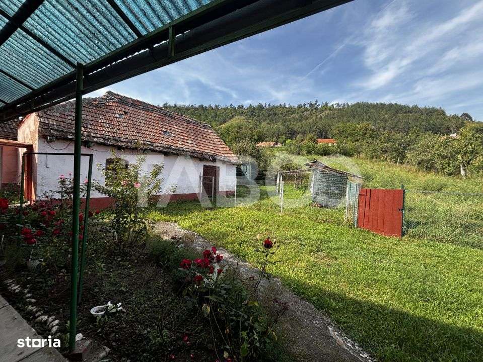 Casa saseasca de vanzare + bonus doua terenuri Seica Mare Sibiu-6