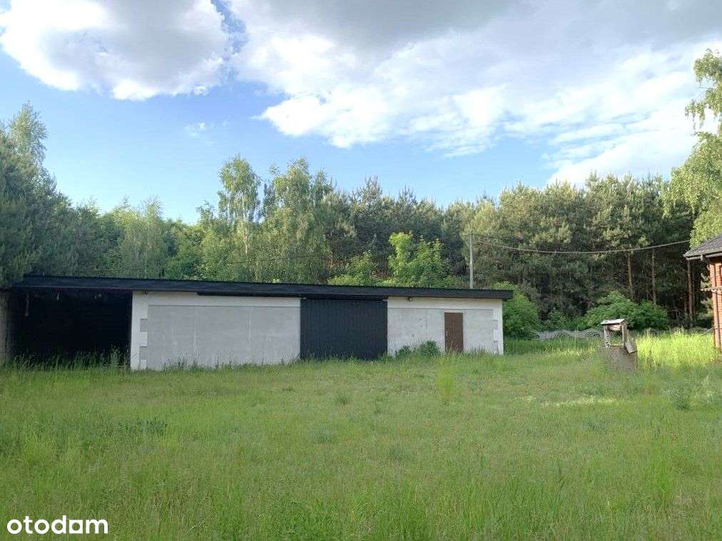 dom w środku lasu gm. Izbica Kujawska woj Kujawsko-4