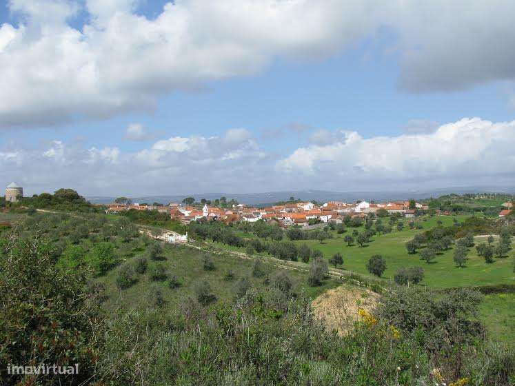 Terreno Urbano de 4,872 hectares em Santarém-9