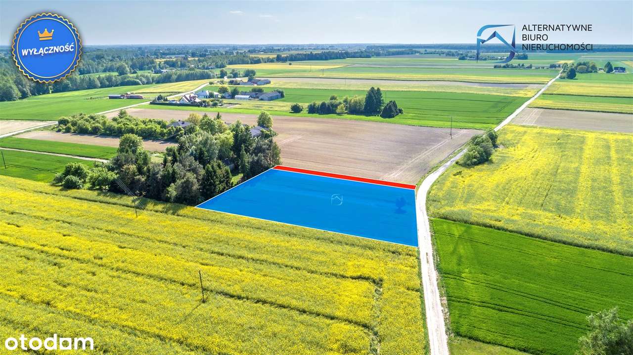 Tania Działka w Ciechankach Krzesimowskich - Pełny obrazek: 5/11