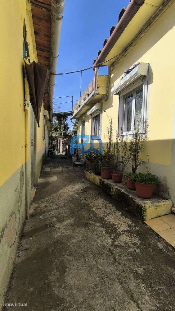Moradias inseridas em lote urbano de 636 m² | Boavista, Porto-10