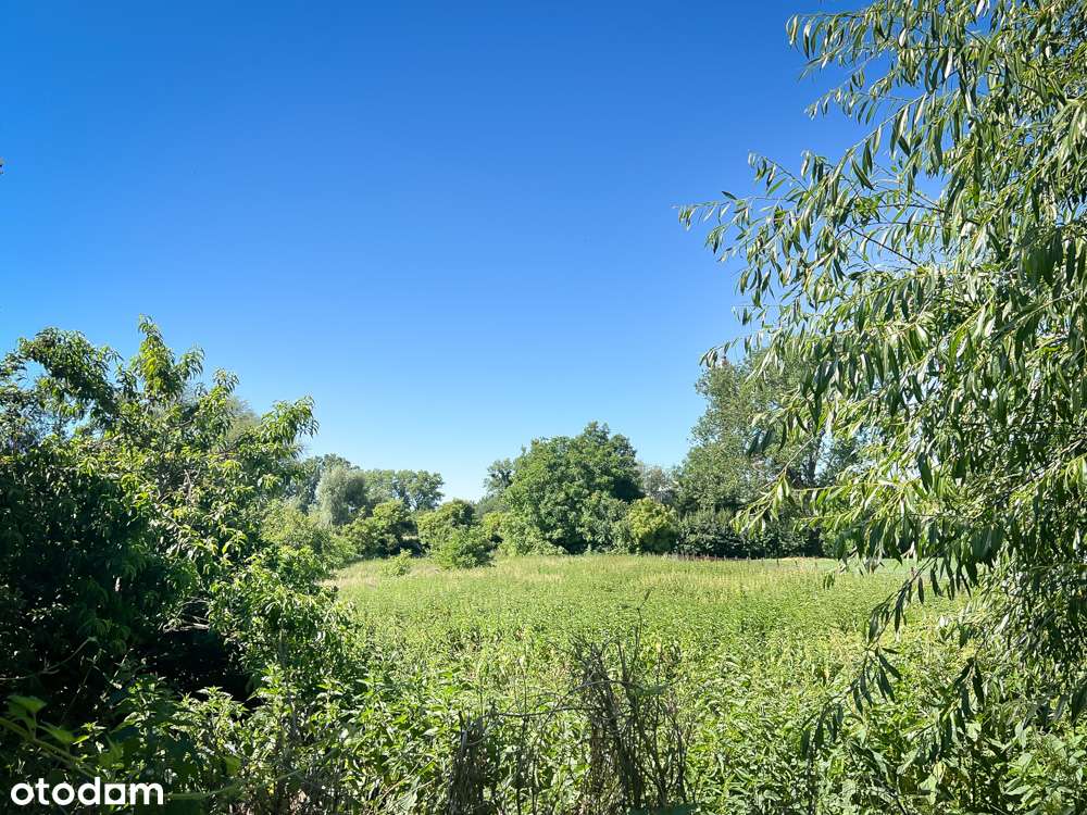 Przestrzeń dla RODZINY, potencjał dla INWESTORA-13