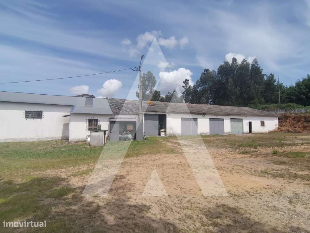 Armazém para venda em Macinhata do Vouga - Grande imagem: 4/30