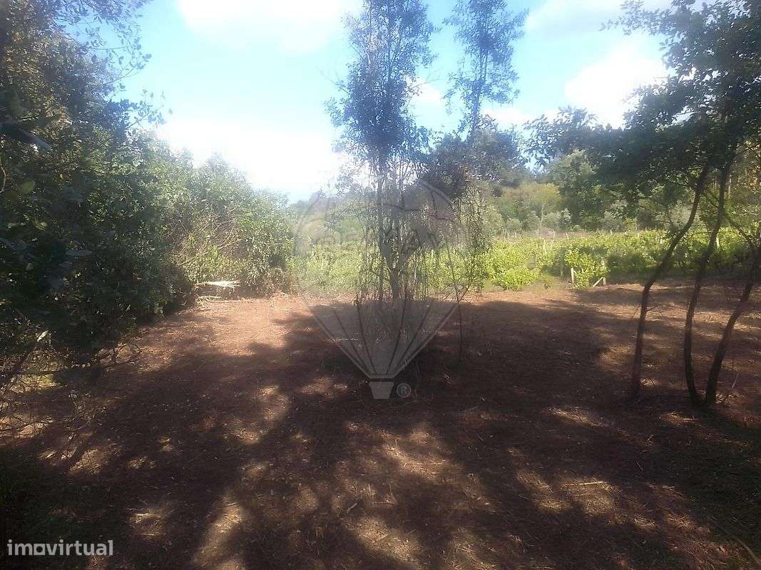 Terreno  para venda - Grande imagem: 4/5