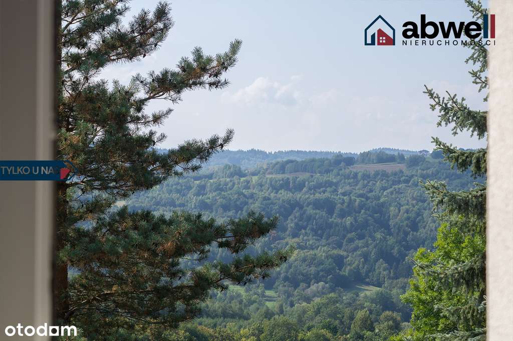 Dom po remoncie + dom do adaptacji + grunty 1,07ha - Pełny obrazek: 5/16