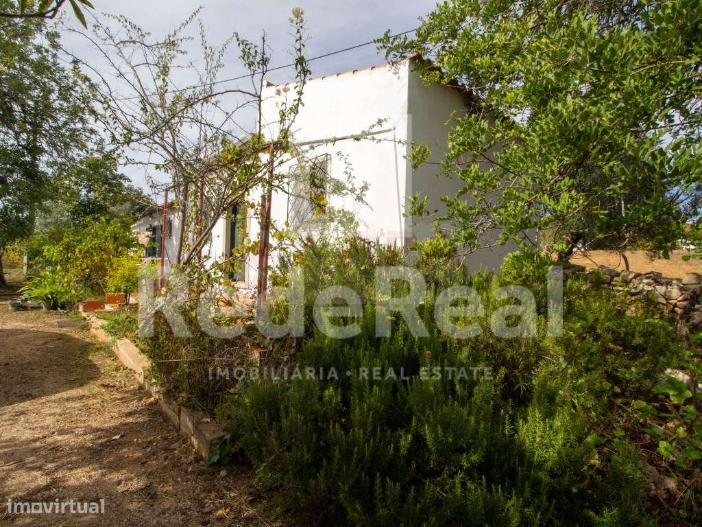 Moradia com 1. 556 hectares com furo e água da rede-21