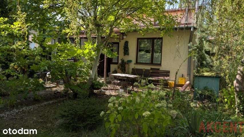 Działka w Brwinowie bliżej Podkowy Leśnej-7