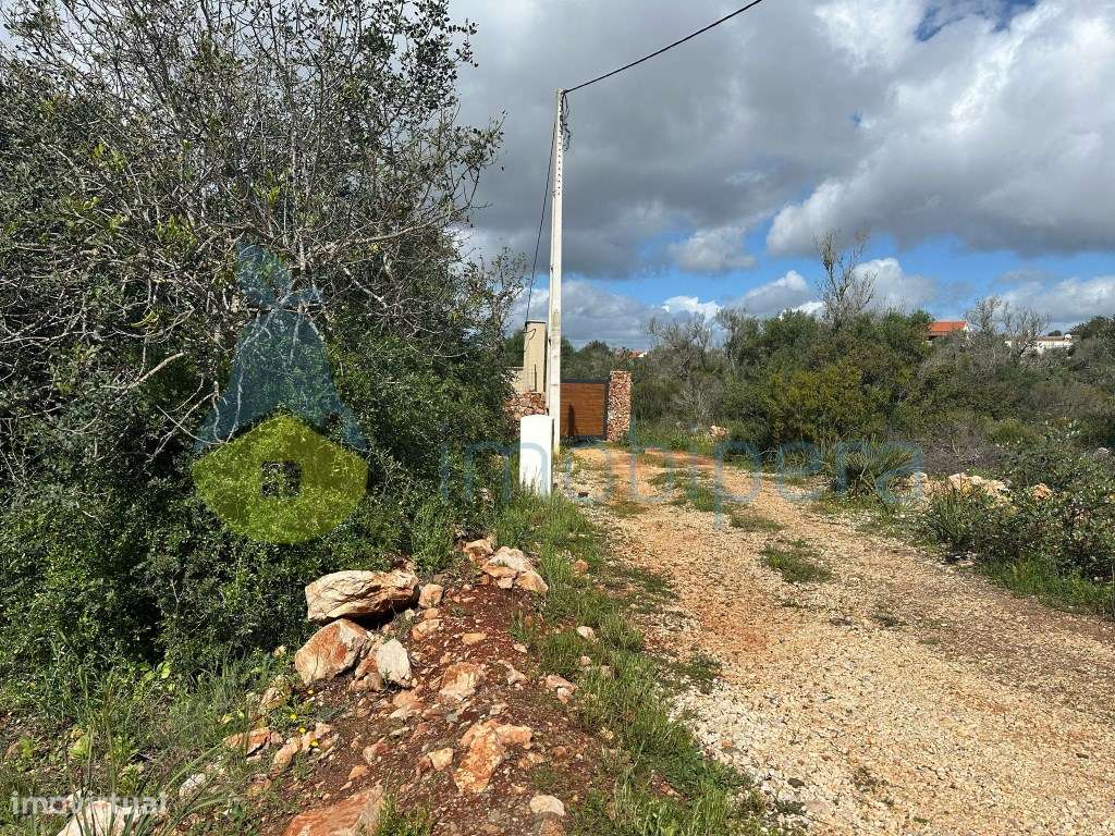 Terreno Plano com 12.0400m2 com Ruína á venda no Barrocal - Grande imagem: 2/7