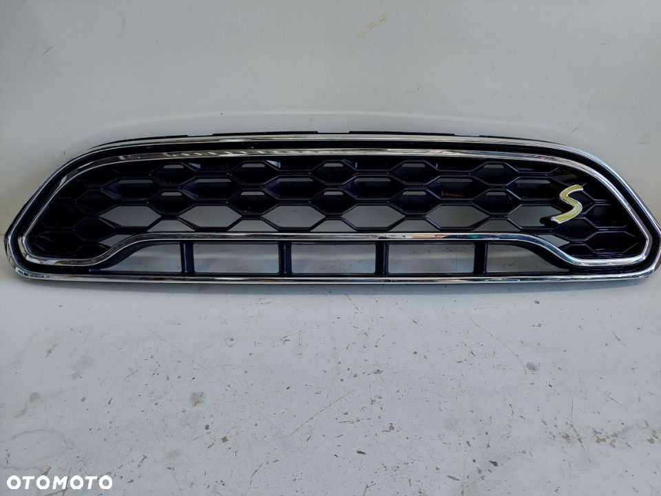 MINI Cooper S Countryman F60 atrapa grill - 1