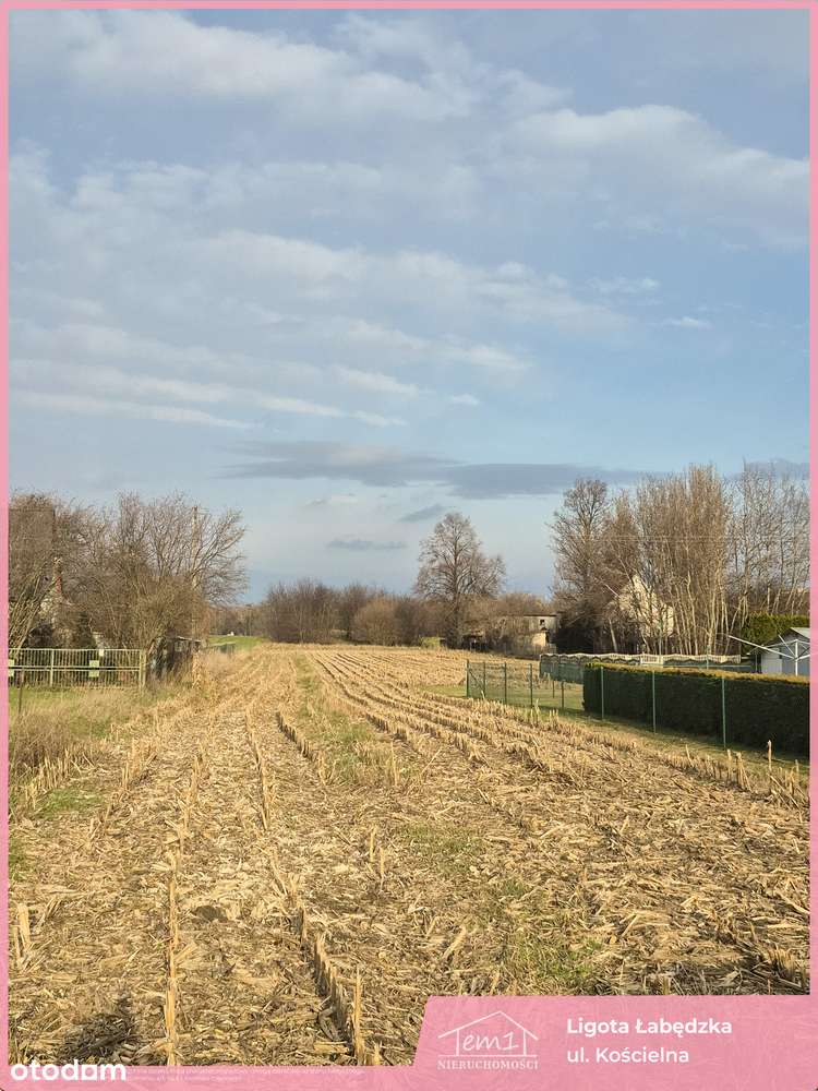 Ligota Łabędzka-1