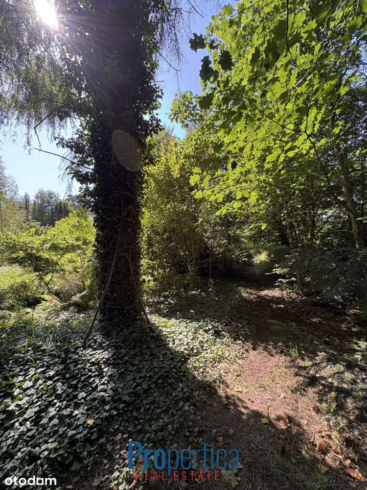 Piękny Ogród - działka w Konstancinie plus dom-9