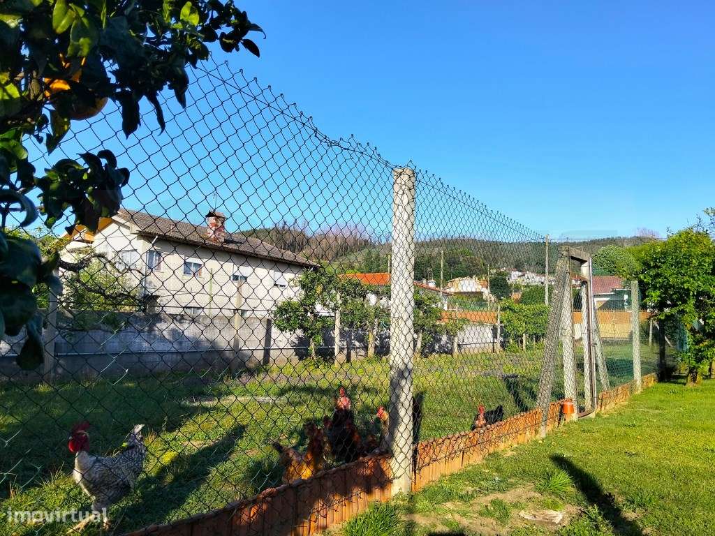Moradia Térrea T3+1 Albergaria-a-Velha-10