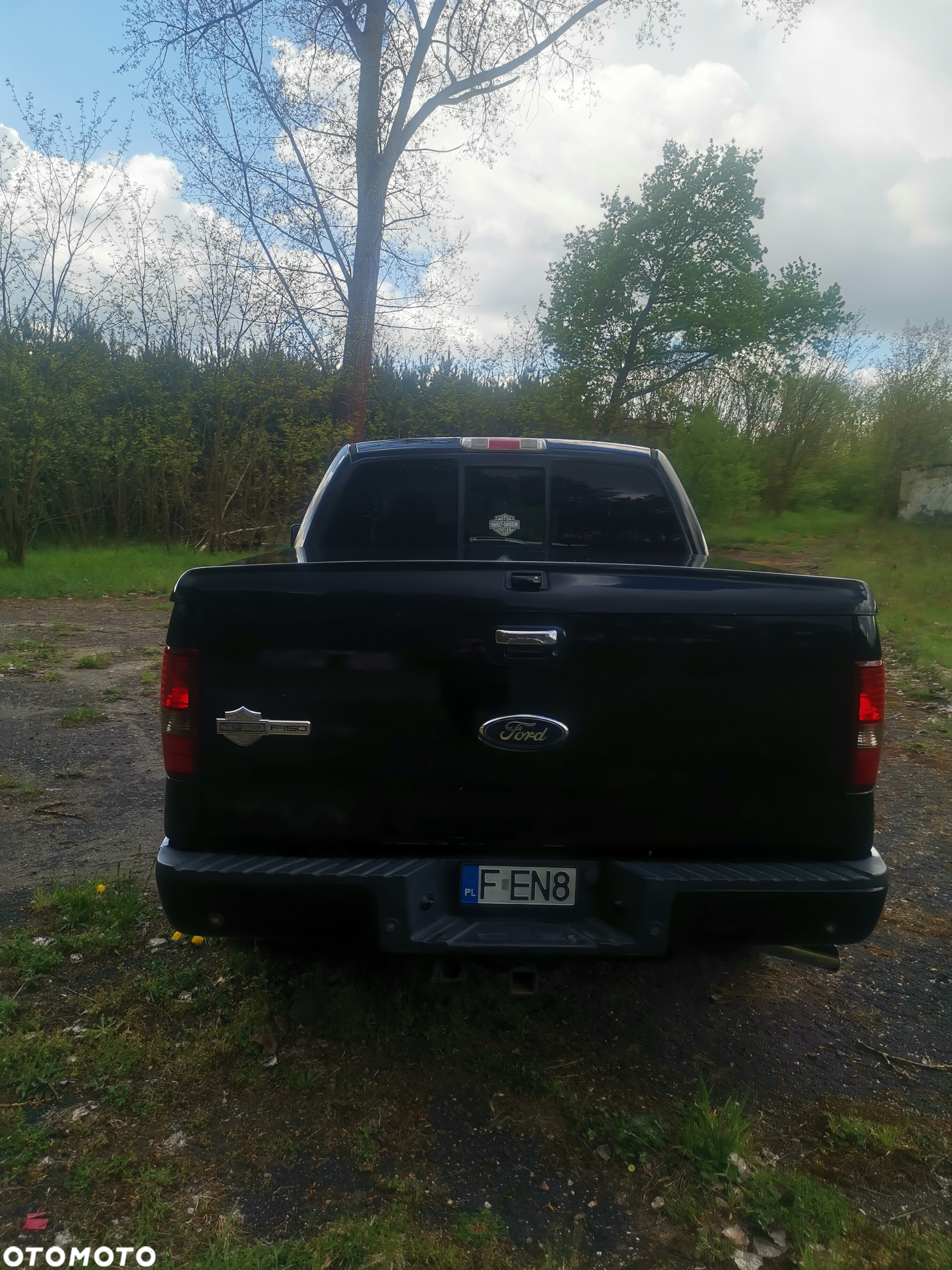 Ford F150 - 19