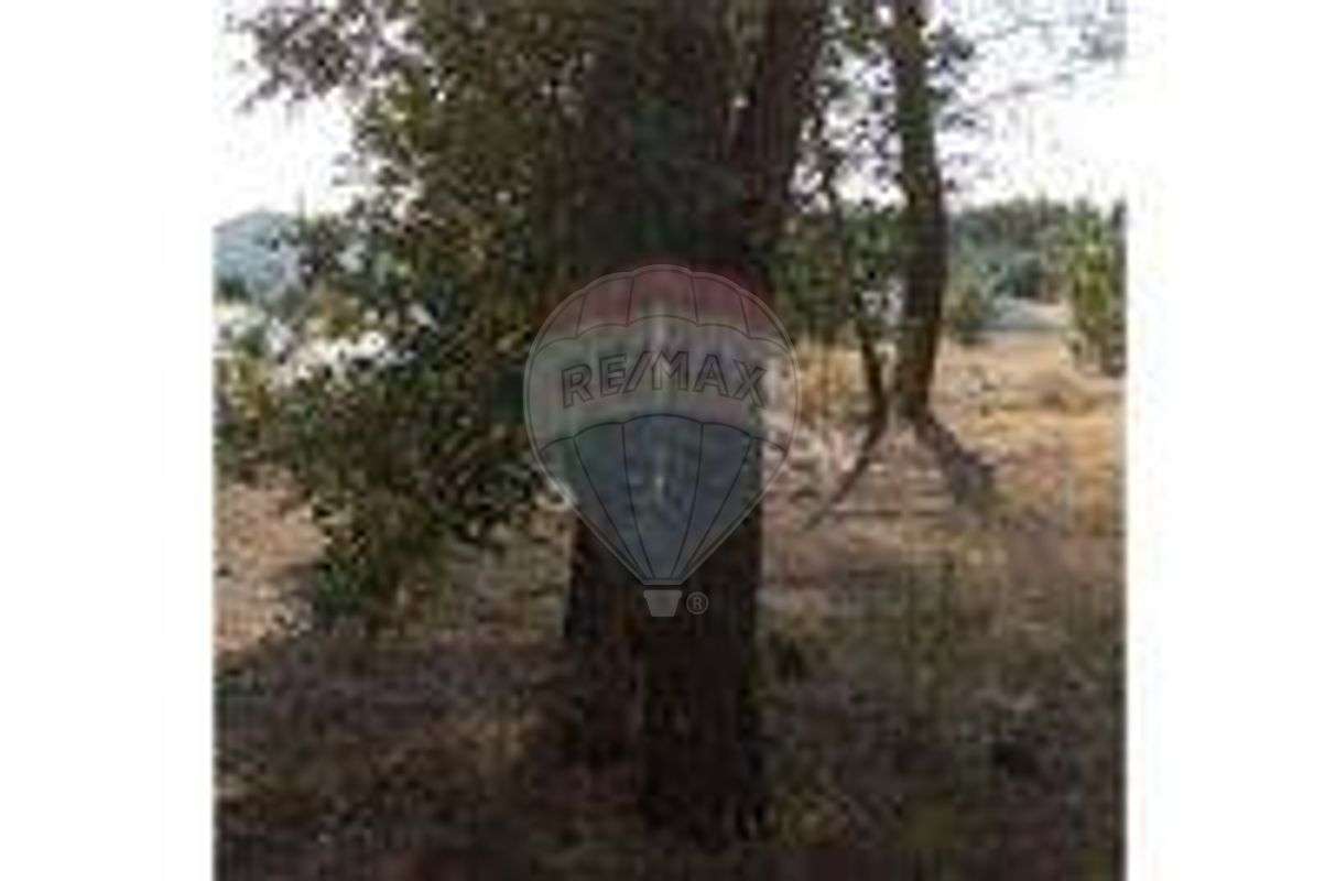 Terreno  para venda - Grande imagem: 5/6