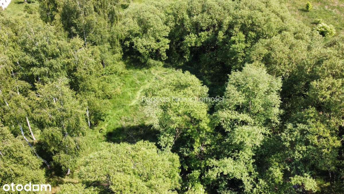 Działka budowla z małym stawem-10