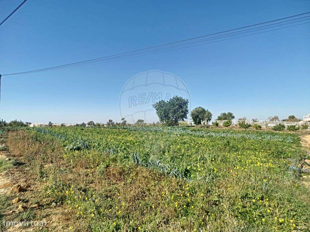 Quinta  para venda-32