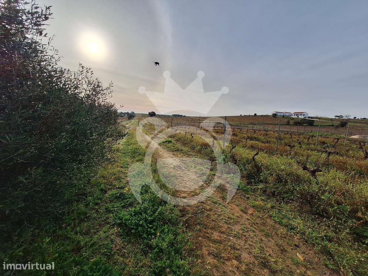 Terreno no Perímetro rega c/ possibilidade construção - Grande imagem: 5/13