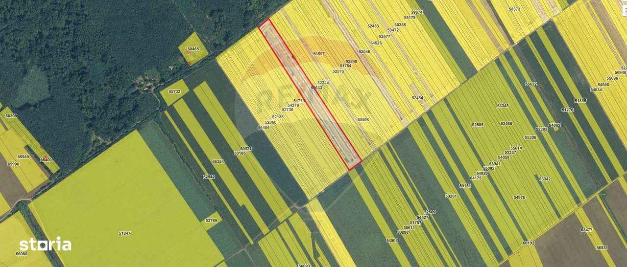 Teren intravilan Buftea, langa Padurea Mocanului - Imagine principală: 5/5